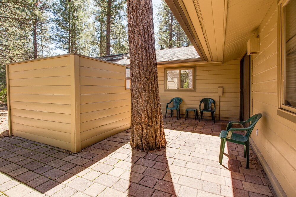 Grizzly 5 - photo 15