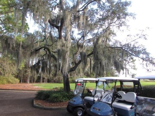 Osprey Cove Golf Club - photo 4