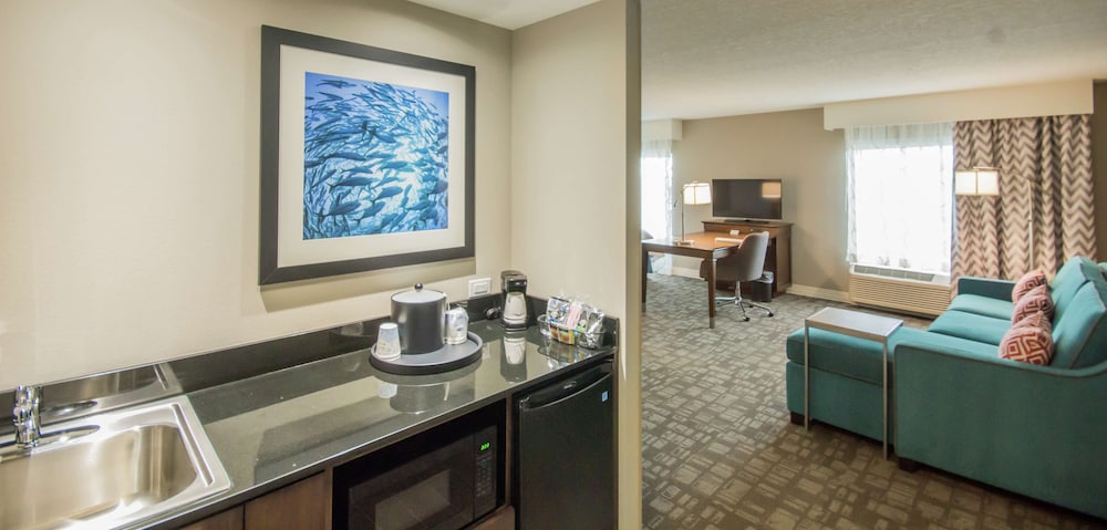 Hampton Inn & Suites Orlando At SeaWorld - photo 9