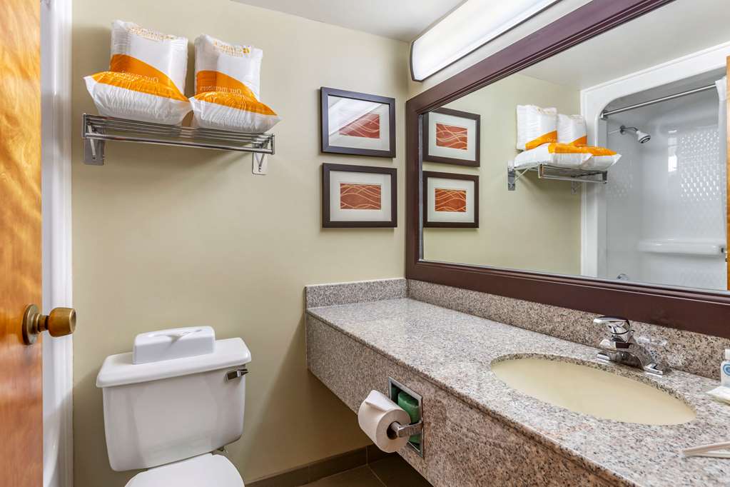 Comfort Inn Quantico - photo 19