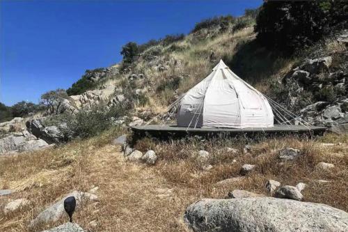 Paradise Ranch Inn Lucky Tent - photo 9