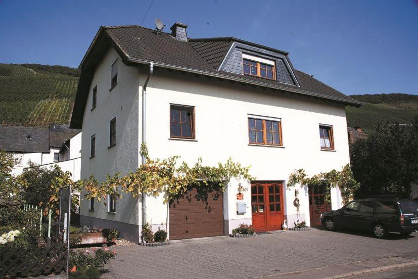 Ferienweingut Reh in Klusserath pet-friendly hotel Kluesserath