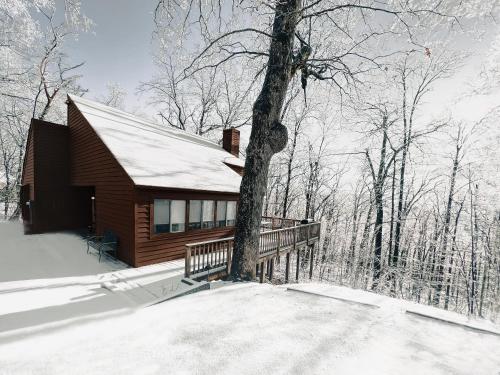 Leaf Peeping at Oak Ledge Trails Tastings Peace — 4-Star Luxury Hotel in Lyndhurst, United States