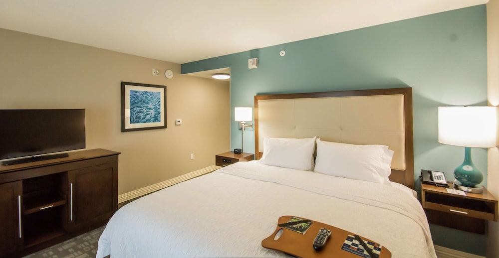 Hampton Inn & Suites Orlando At SeaWorld - photo 16