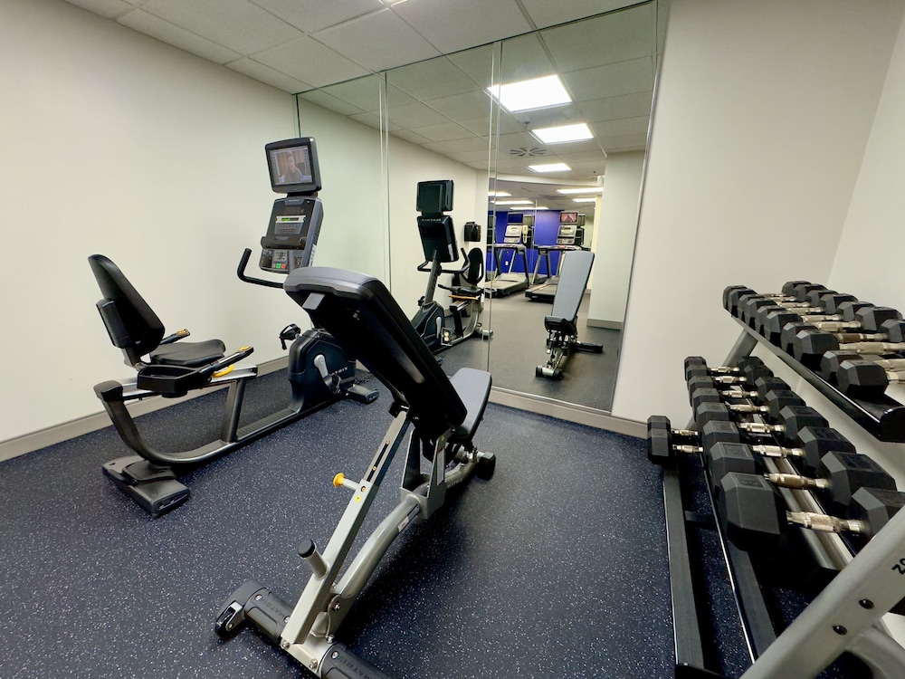 Holiday Inn Express Hotel & Suites Tampa Northwest Oldsmar by IHG - photo 33