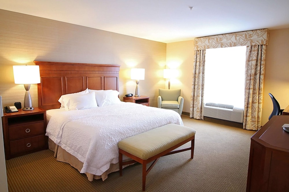 Hampton Inn Detroit Auburn Hills North - photo 18