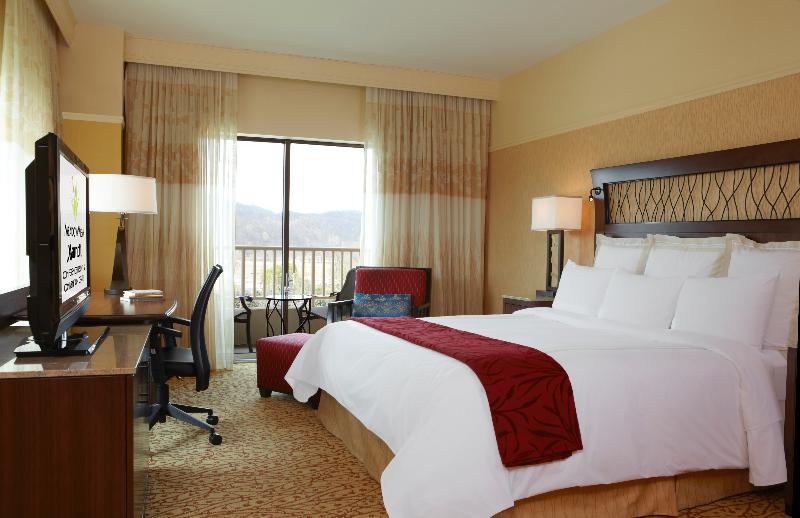 MeadowView Conference Resort & Convention Center - photo 73
