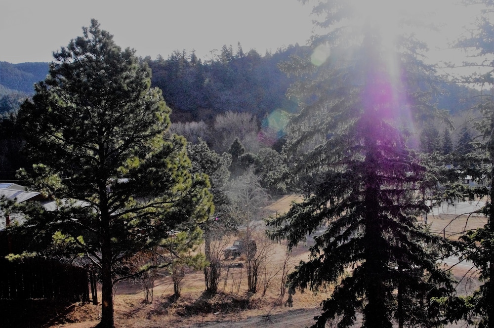 The Green Mountain Falls Lodge - photo 84