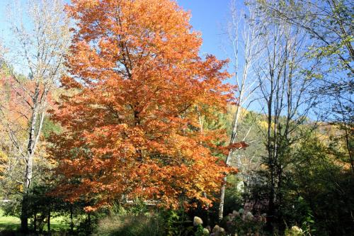 Weathertop Mountain Inn - photo 11