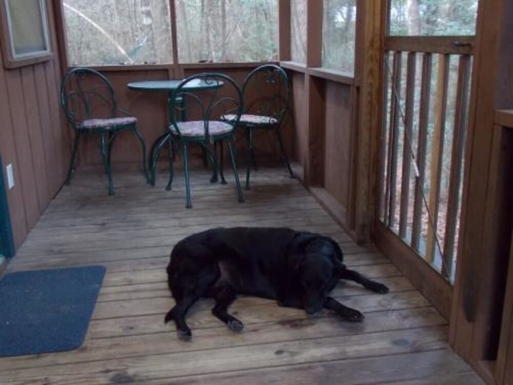 Adventures Unlimited Resort - photo 37
