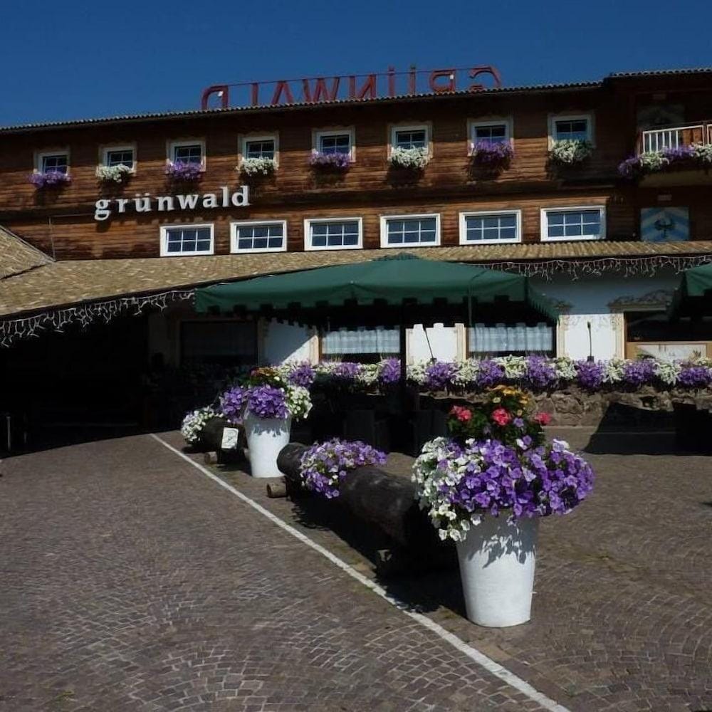 Hotel Grünwald — Cavalese — photo 4
