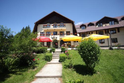 Hotel Ruia in Brasov, Romania