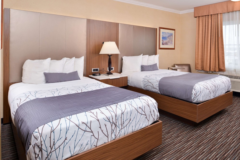 Best Western Airpark Hotel LAX Airport LA Stadium - photo 12