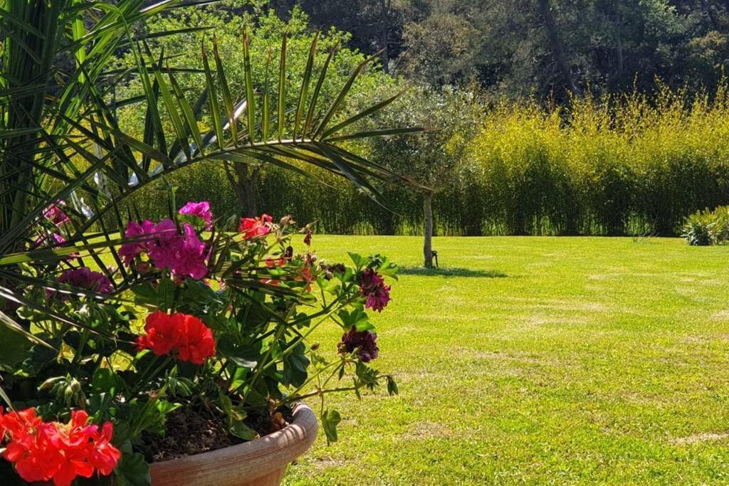 Les Prairies de Fenestrelle SPA & Piscine Au Calme — Aubagne — photo 4