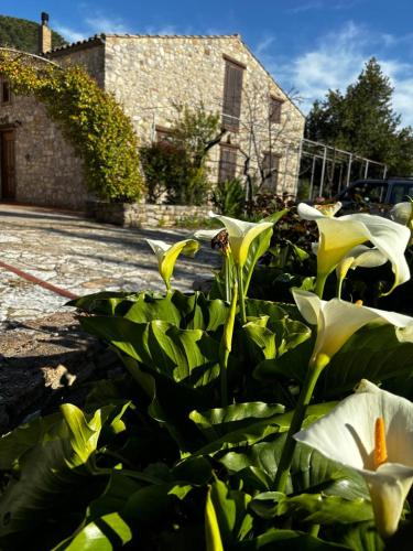 Agriturismo Santa Venera — 4-Star Luxury Hotel in Polizzi Generosa, Italy