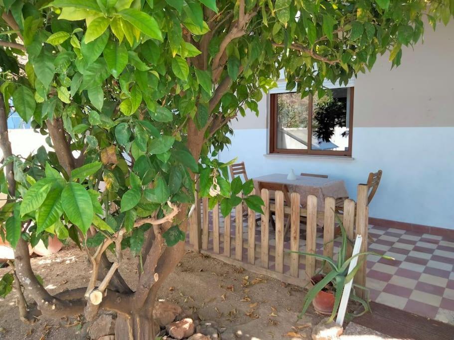 Casa Laranjeira — 4-Star Luxury Hotel in Tavira, Portugal