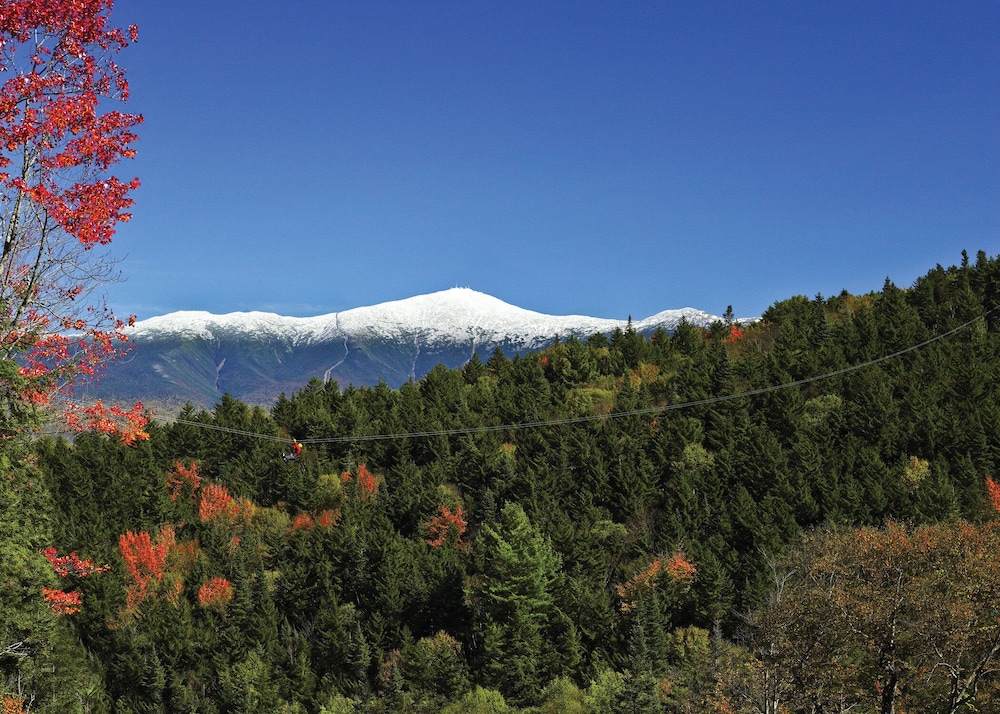 Omni Mount Washington Resort & Spa - photo 105