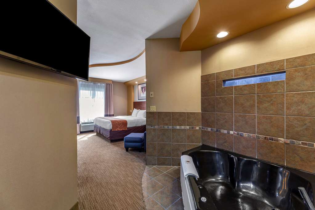 Comfort Suites Perrysburg Toledo South - photo 13