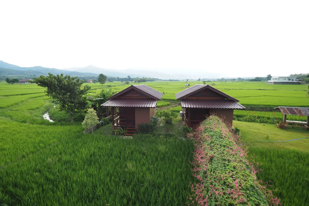 Pang Chompu — Pua — photo 4