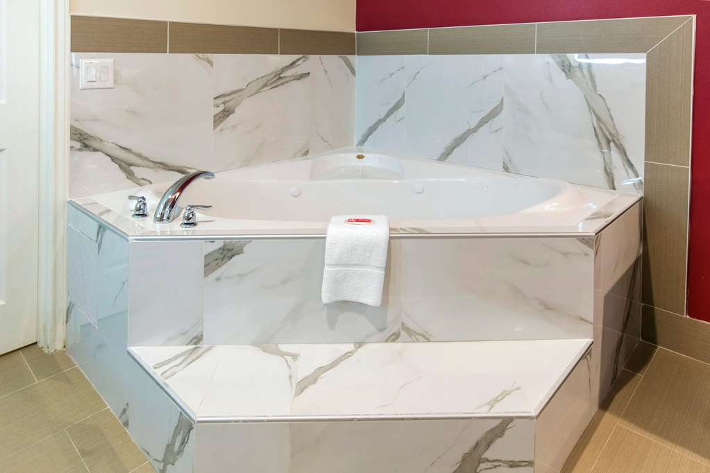 Econo Lodge Inn & Suites Houston Willowbrook - photo 45