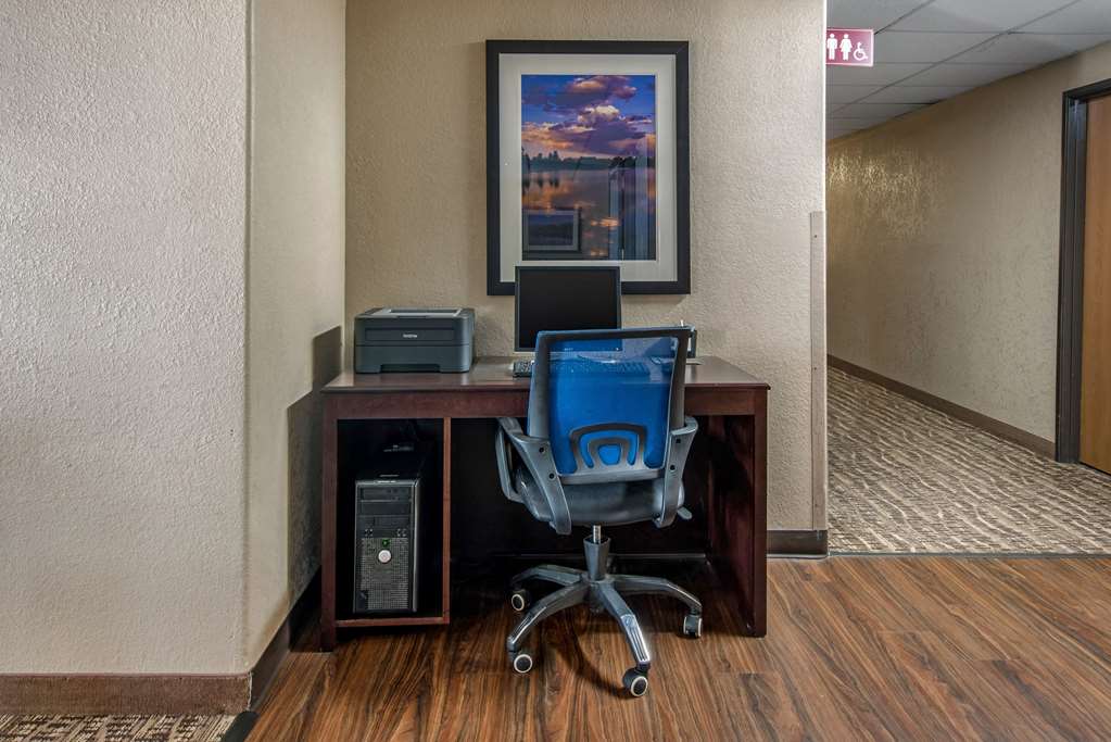 Comfort Inn Denver Southeast Area - photo 28