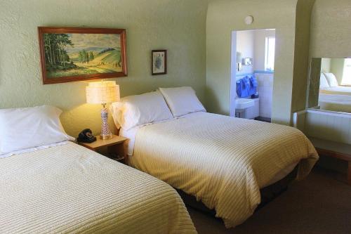 Blue Swallow Motel - photo 35