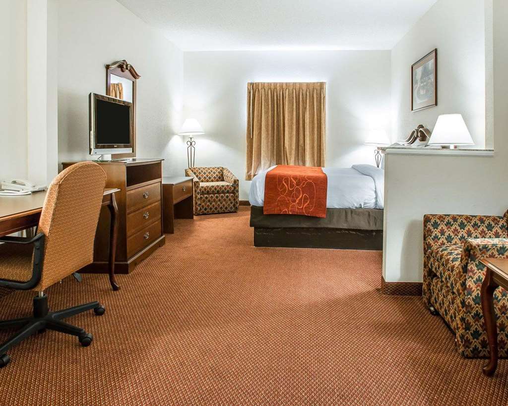 Comfort Suites Jefferson City - photo 21