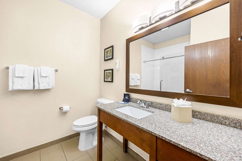 Comfort Inn & Suites Pueblo - photo 20