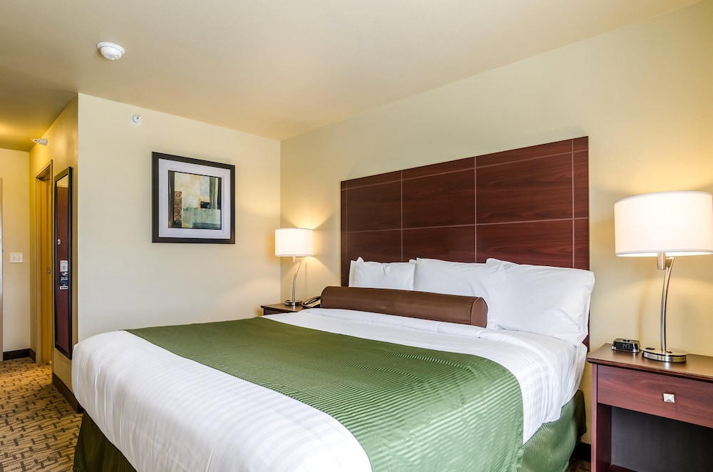 Cobblestone Inn & Suites Oberlin - photo 16