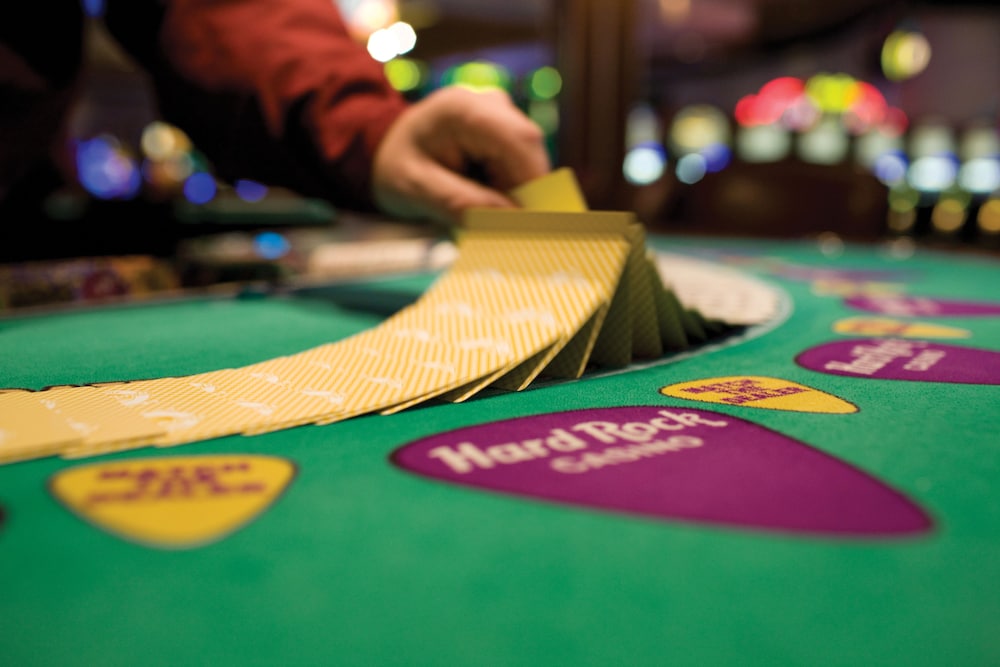 Seminole Hard Rock Hotel and Casino - photo 33