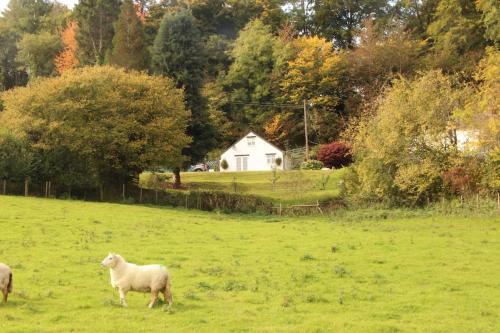 Garn Lodge — 4-Star Luxury Hotel in Newtown, United Kingdom