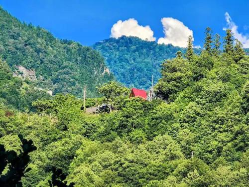 Nepoka in Machakhela in Unknown City, Georgia