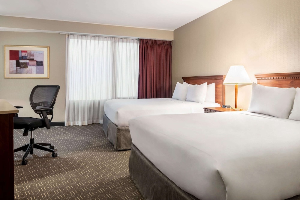 Wyndham Springfield City Centre - photo 10