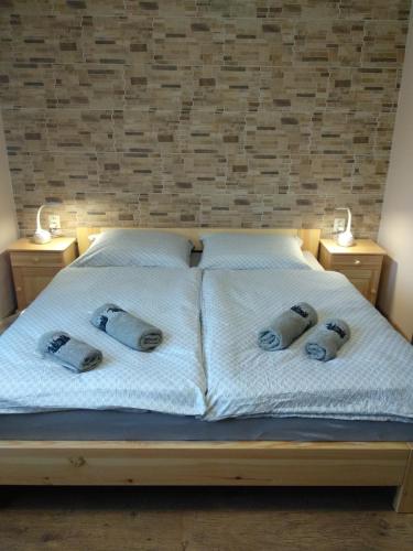 Penzion U Splavu — hotel in Loket