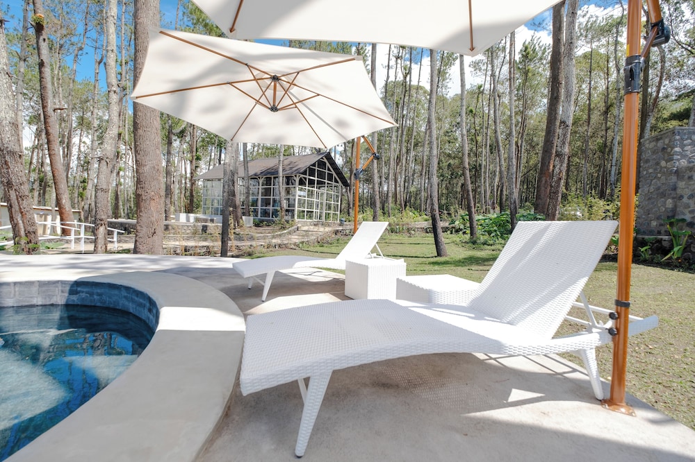 La Pino Mount Batur And Hot Spring — Bangli