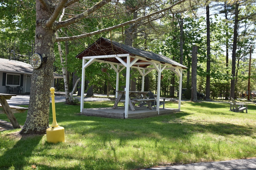 Acadia Pines Motel - photo 32