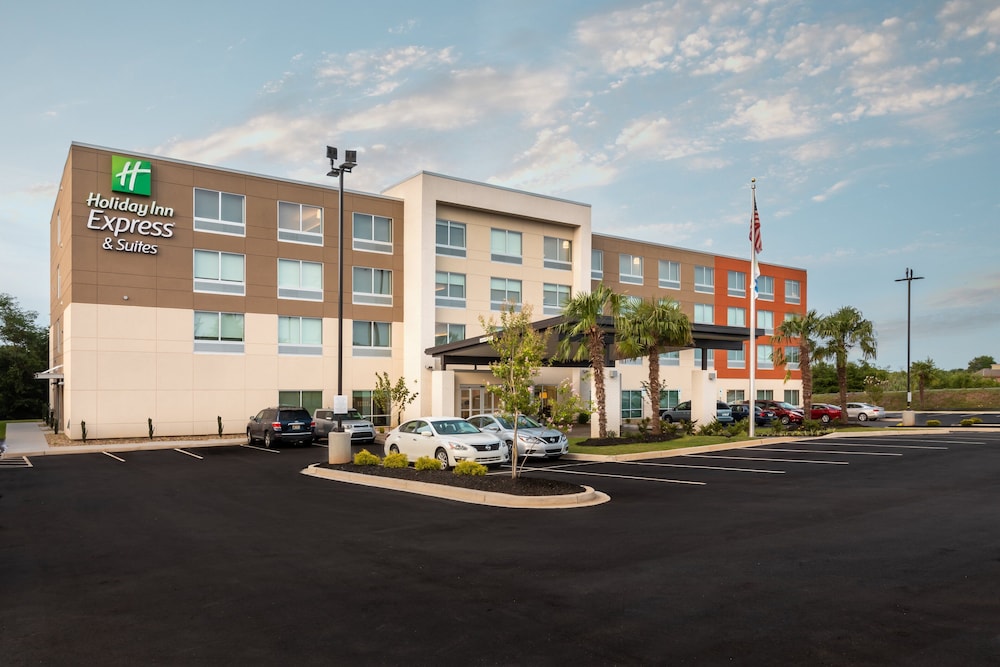 Holiday Inn Express & Suites Rock Hill by IHG - photo 80