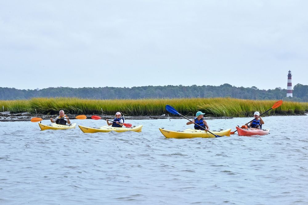 Snug Harbor Marina and Hotel - photo 13