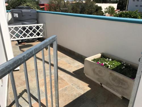 Casa Gada — 4-Star Luxury Hotel in Porto Cesareo, Italy