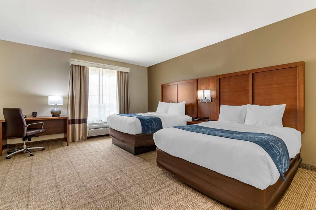 Comfort Suites Buda Austin South - photo 12