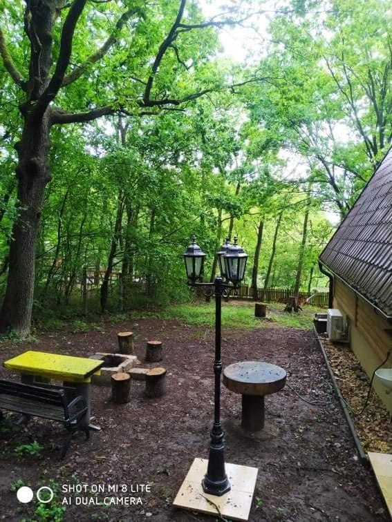 Őzike Lak a Börzsönyben — Kismaros — photo 3