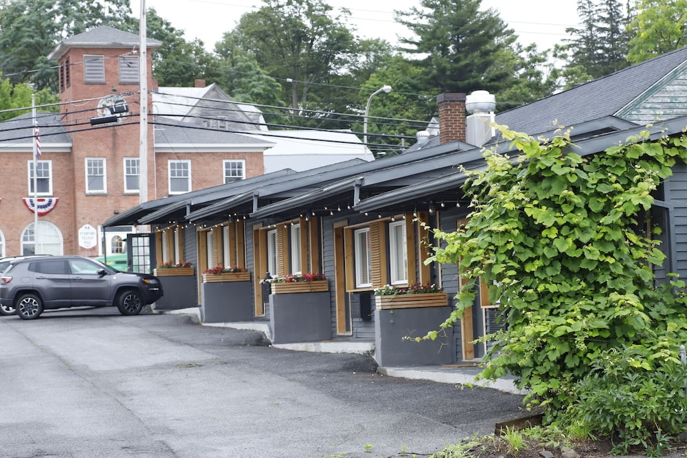 The Vine on Main - photo 14