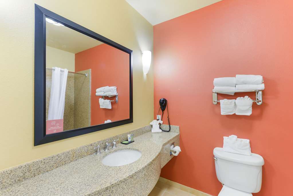 Sleep Inn & Suites Midland West - photo 24
