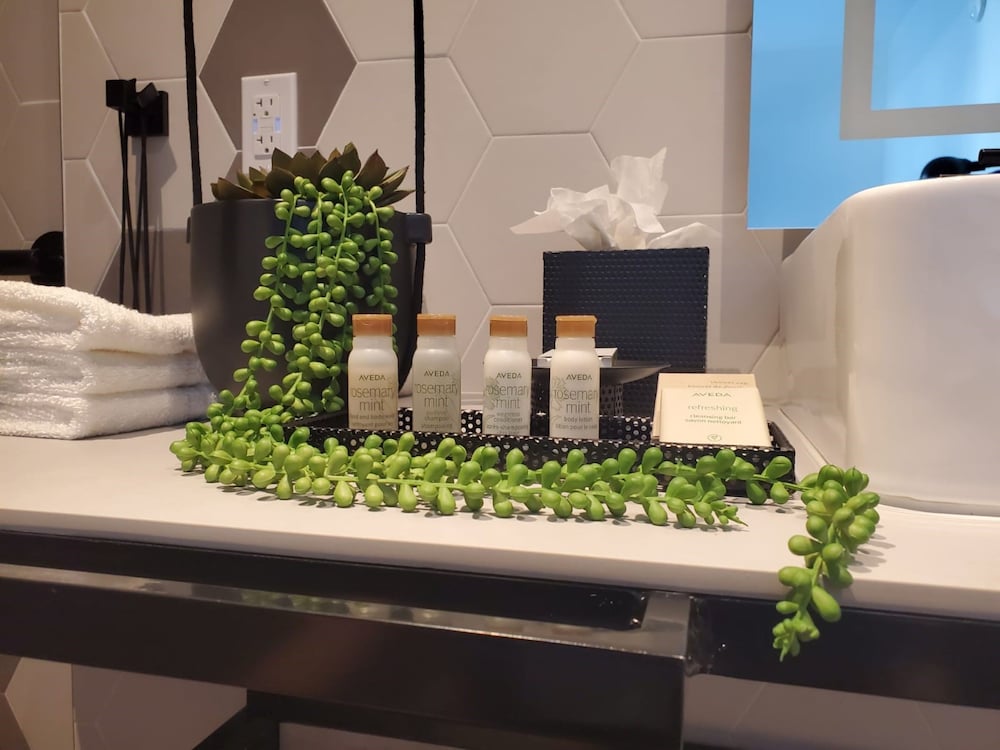 Hotel Indigo Miami Brickell by IHG - photo 19