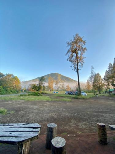 Avrilla Ijen Cool homestay — 5-Star Luxury Hotel in Banyuwangi, Indonesia
