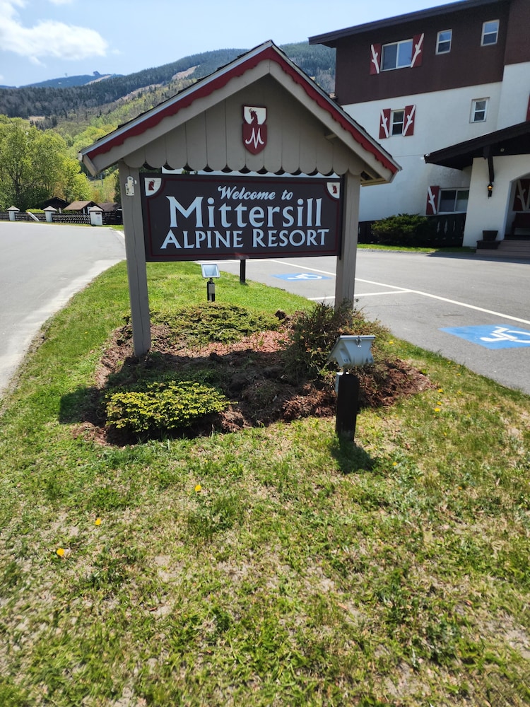 Mittersill Alpine Resort - photo 27