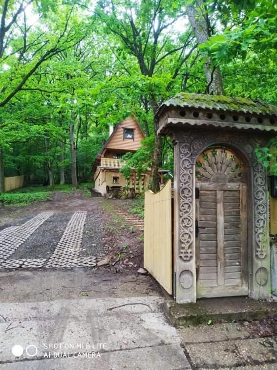 Őzike Lak a Börzsönyben — Kismaros — photo 4