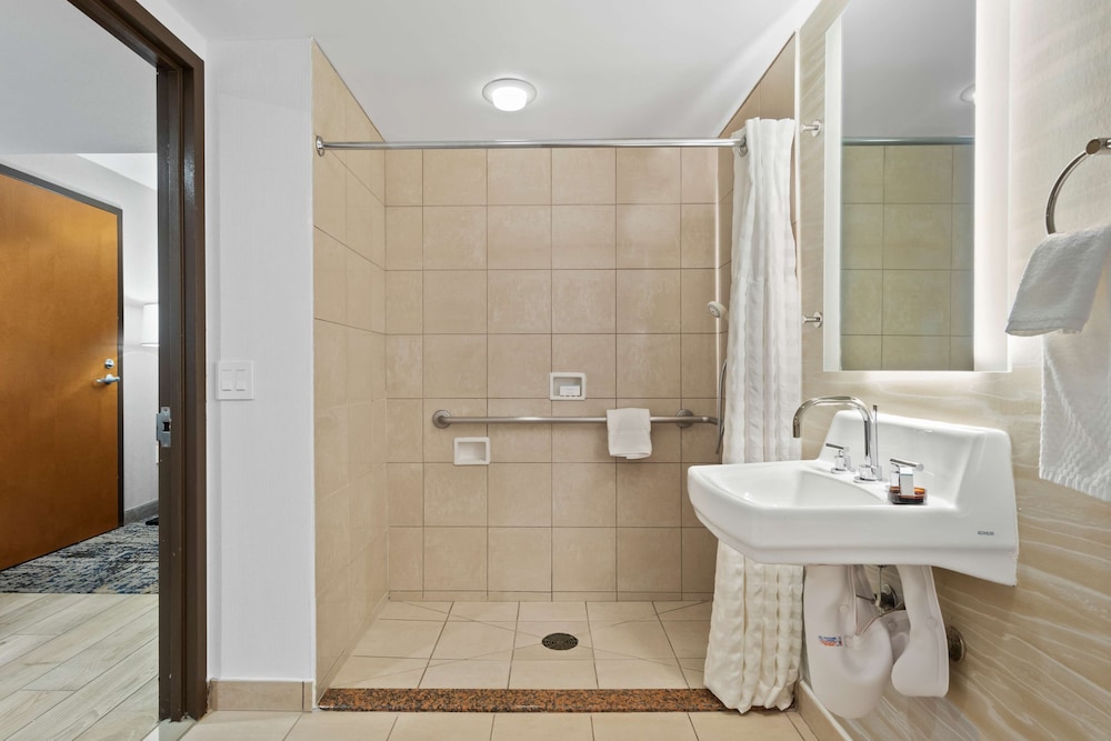 Embassy Suites by Hilton Anaheim South - photo 42