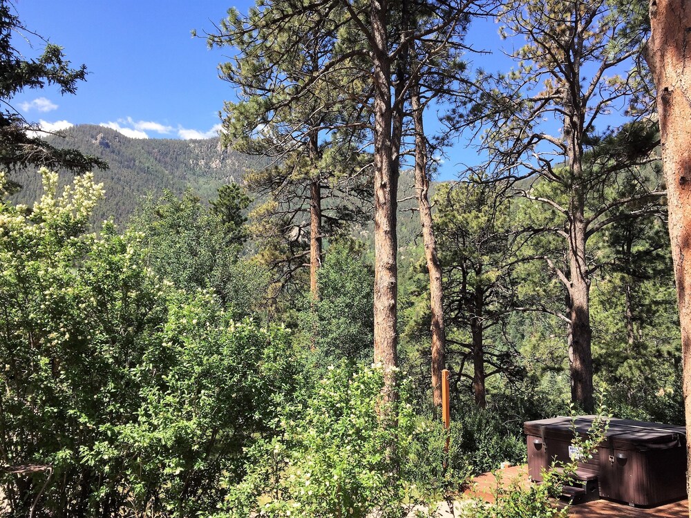 Pikes Peak Guest Cabin at Rocky Mountain Lodge - photo 23