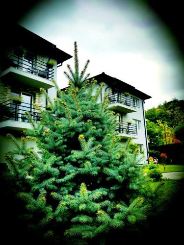 Grey Villas — Calimanesti — photo 2